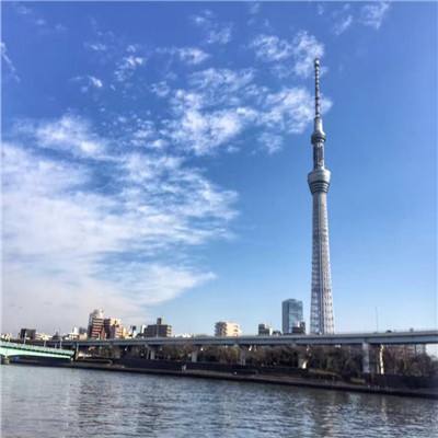 九游龙灵手游下载